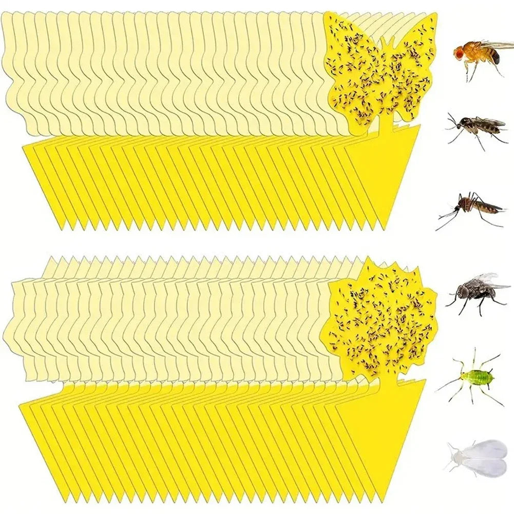 20PCS Fruit Fly & Fungus Gnat Sticky Traps – Non-Toxic Yellow Plant Bug Traps for Indoor & Outdoor Use