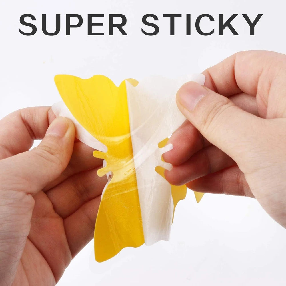 20PCS Fruit Fly & Fungus Gnat Sticky Traps – Non-Toxic Yellow Plant Bug Traps for Indoor & Outdoor Use