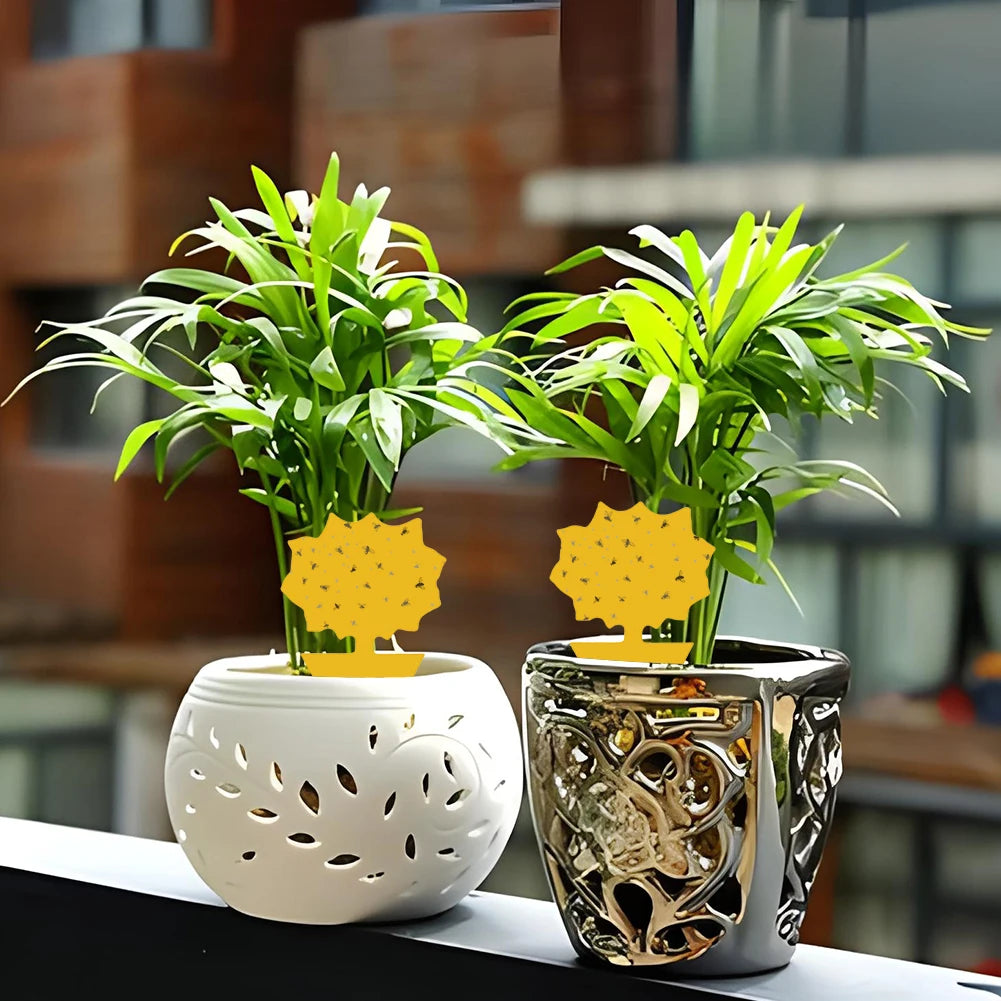 20PCS Fruit Fly & Fungus Gnat Sticky Traps – Non-Toxic Yellow Plant Bug Traps for Indoor & Outdoor Use