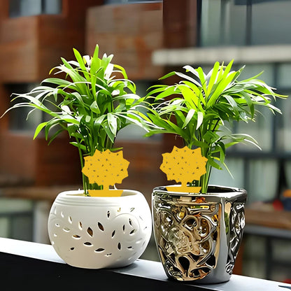 20PCS Fruit Fly & Fungus Gnat Sticky Traps – Non-Toxic Yellow Plant Bug Traps for Indoor & Outdoor Use