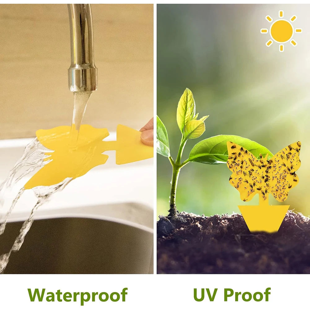 20PCS Fruit Fly & Fungus Gnat Sticky Traps – Non-Toxic Yellow Plant Bug Traps for Indoor & Outdoor Use