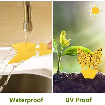 20PCS Fruit Fly & Fungus Gnat Sticky Traps – Non-Toxic Yellow Plant Bug Traps for Indoor & Outdoor Use